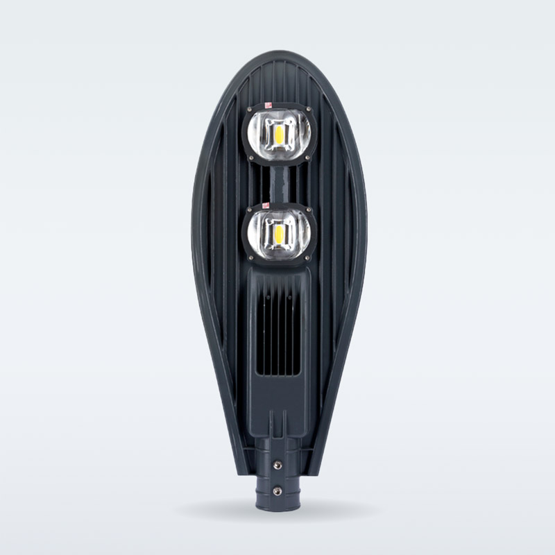 Đèn Đường LED 100W