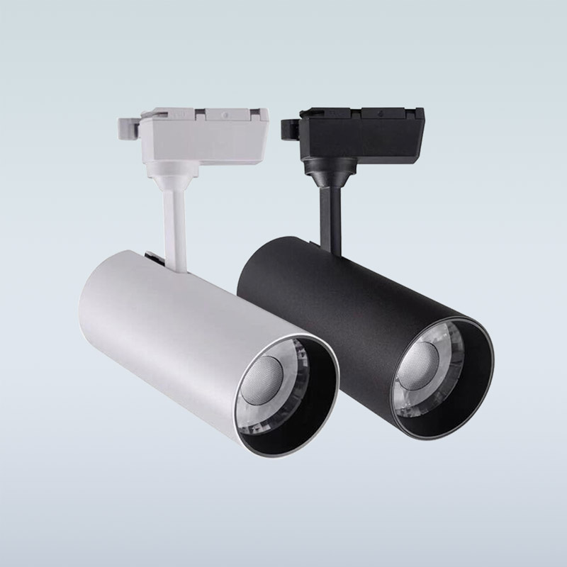 Đèn LED Ray Rọi 10W